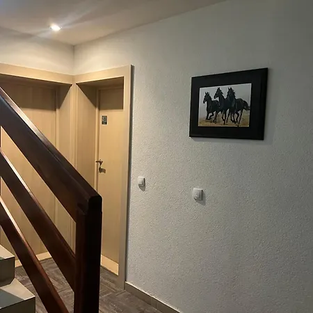 Zvoncica Z12 Apartment
