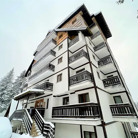 Zvoncica Z12 קופאוניק